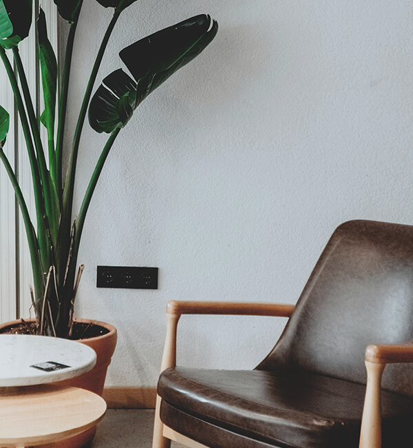 A cozy seating area with an armchair and a plant
